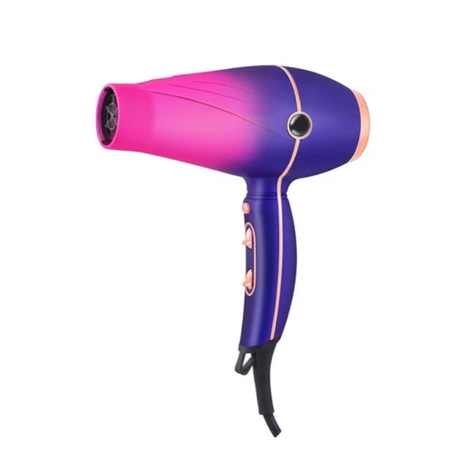 ENZO Professional Pro Gradient Quick Dry Hair Blower