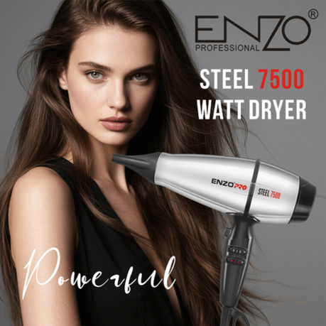 ENZO Metal 2-Gear Professional Salon Hair Dryer