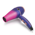 ENZO Professional Pro Gradient Quick Dry Hair Blower